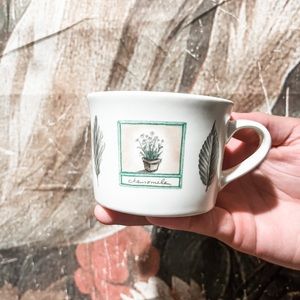 Set of 6 Portfolio by Pfalfzgraff Herb Mugs